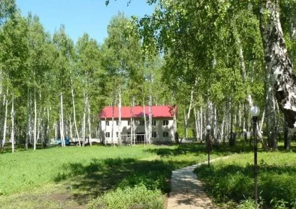 Зеленая поляна