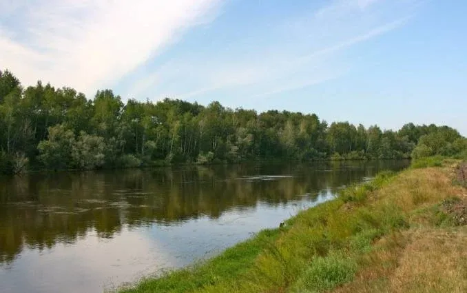 Комплекс гостевых домов Загородный комплекс «Аквилон» — фото 3