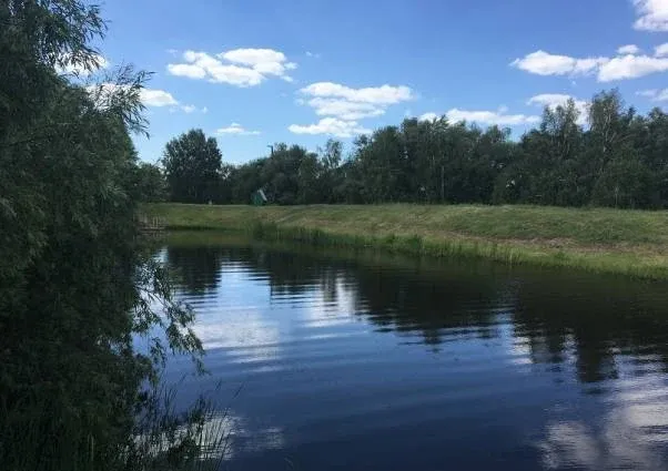 База отдыха «Подсолнухи»