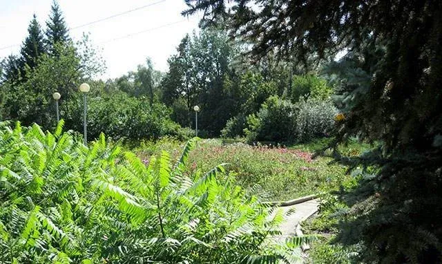 Рассвет