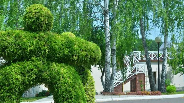 Парк-отель «Мечта» — фото 5
