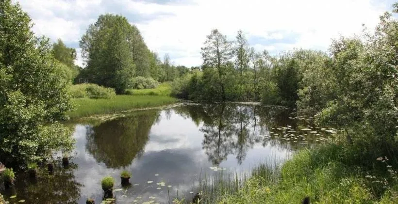 Благо