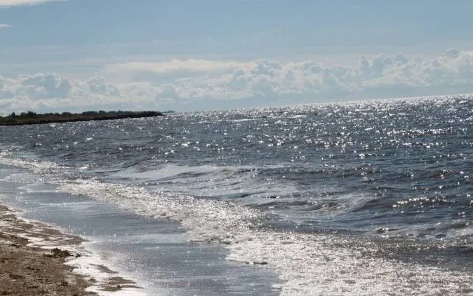 Загородный клуб Ustje Beach Resort Устье — фото 5