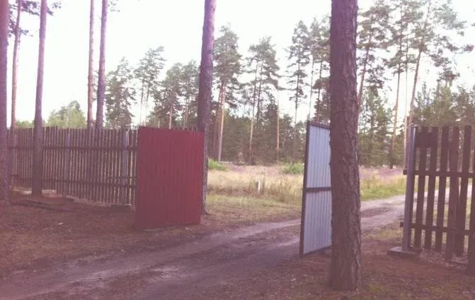 Домик на озере — фото 2