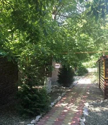Ковчег у реки — фото 5