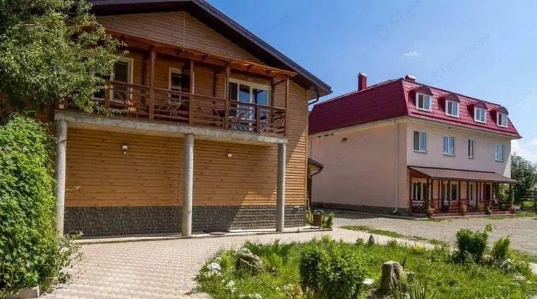 Аммонит