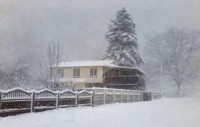 ОЗОН Семейный (OZON Family) — фото 2