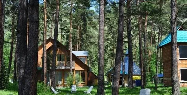 Берег Катуни — фото 2