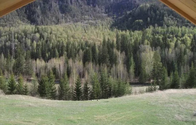 Сартакпай
