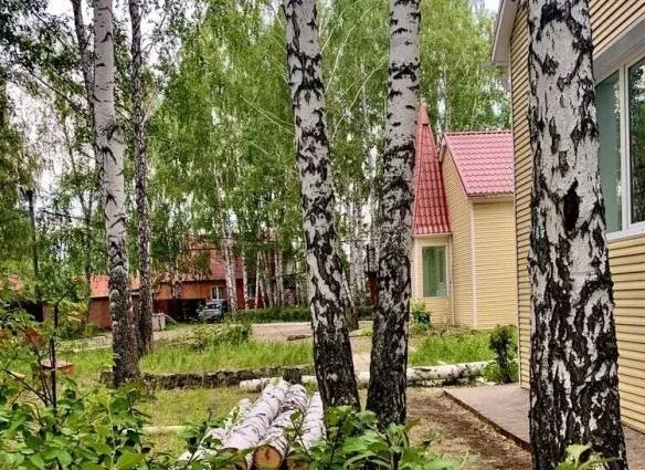 Ручеек (Абзаково) — фото 3