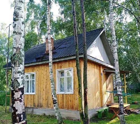 Байкальские Зори — фото 4