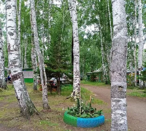 Байкальские Зори — фото 5