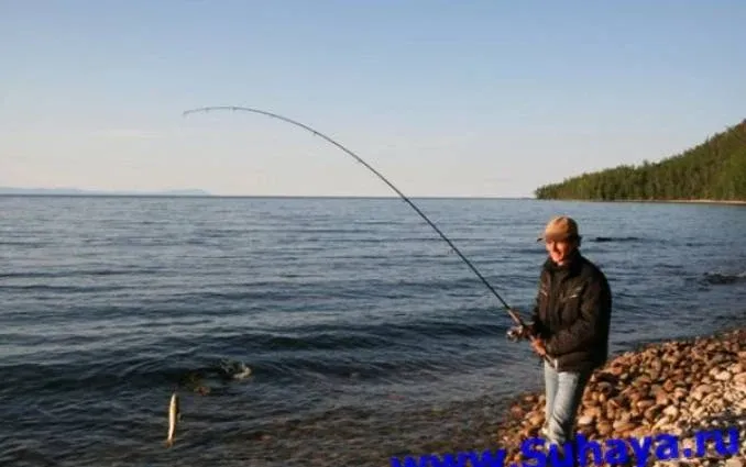 Парк-отель «Звездный»