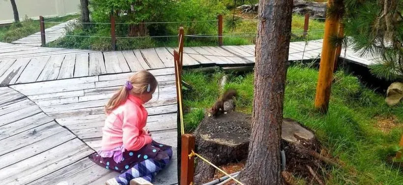 Шумак