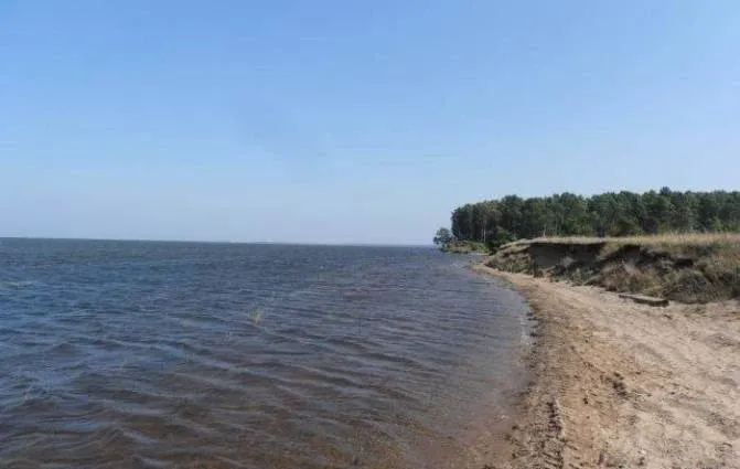 Жарки
