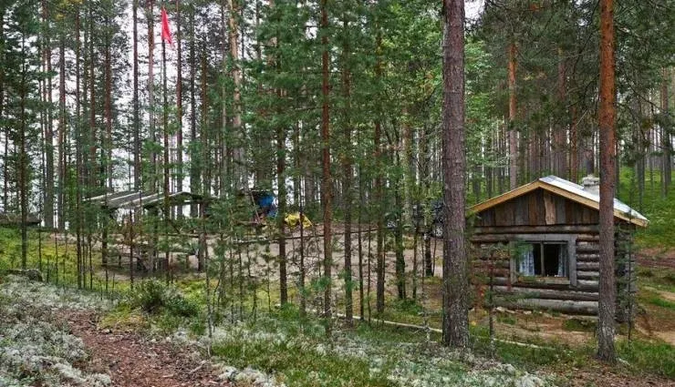 Лесные избушки «Замки» — фото 3