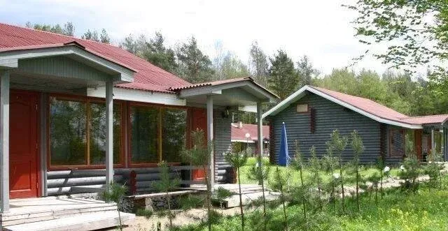 Деревня Александровка — фото 5