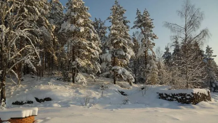 База отдыха Рукола — фото 2