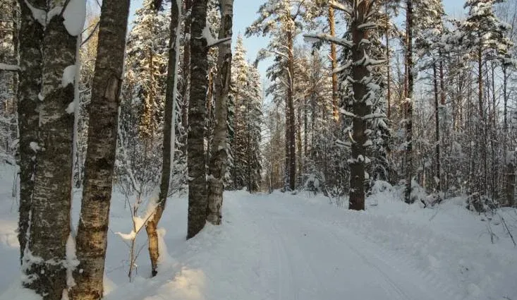 База отдыха Рукола — фото 4