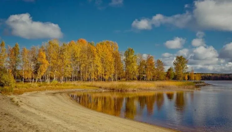 База отдыха «Чёрные камни» — фото 3