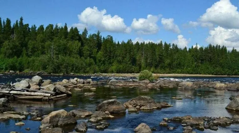Тууликки