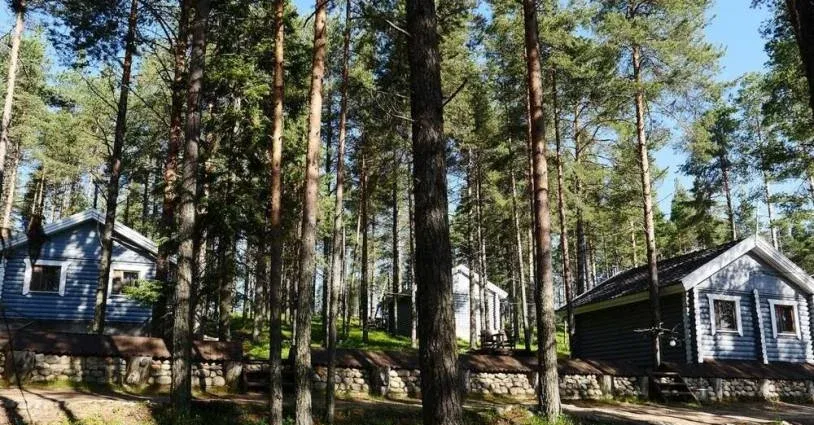 Велт