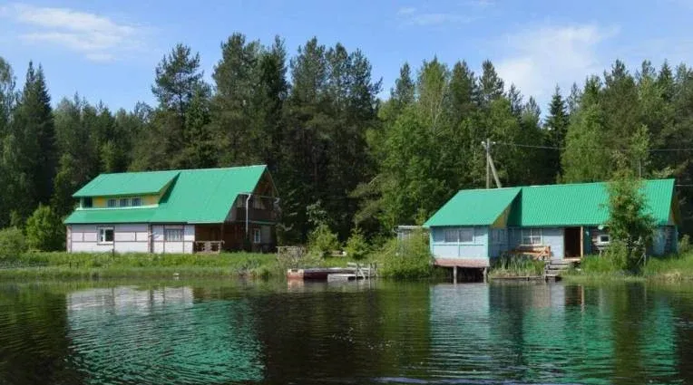 Серебряные родники — фото 3