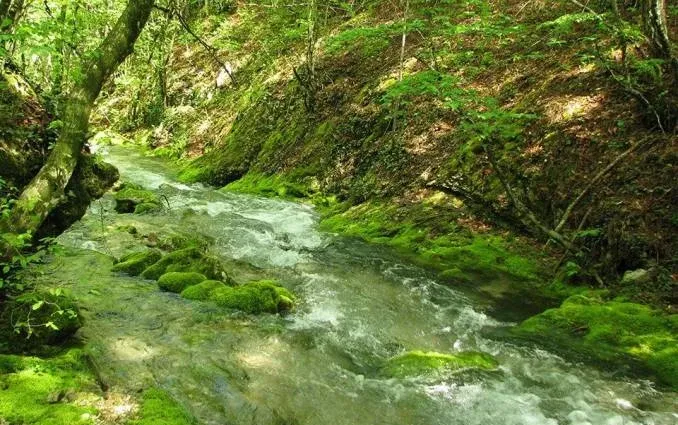 Отель «Горец» — фото 3