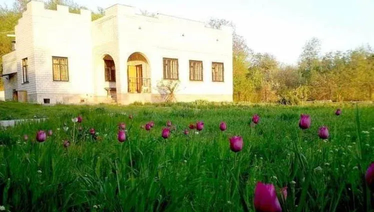 Золотая усадьба — фото 2