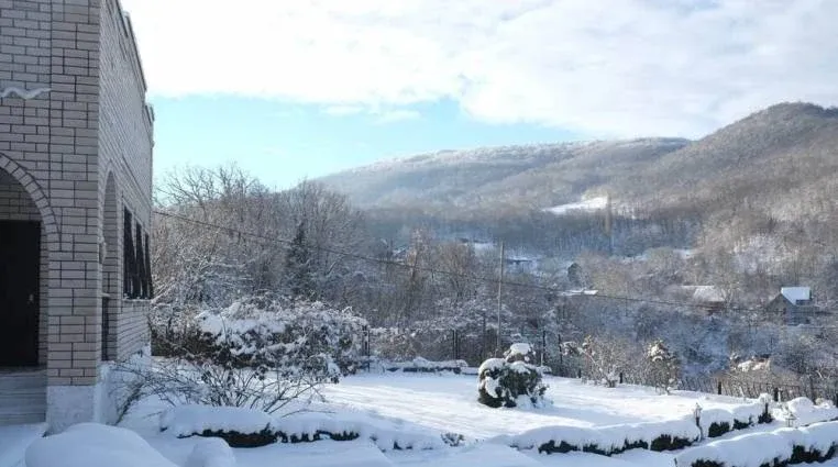 Золотая усадьба — фото 3