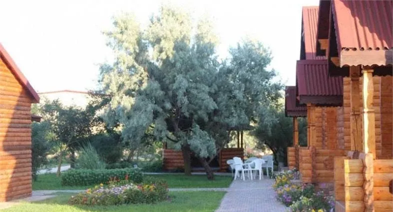 Солнечный берег — фото 5