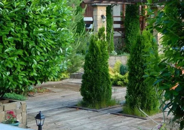 Гостевой дом «Вилла Роса» (Villa Rosa) — фото 2