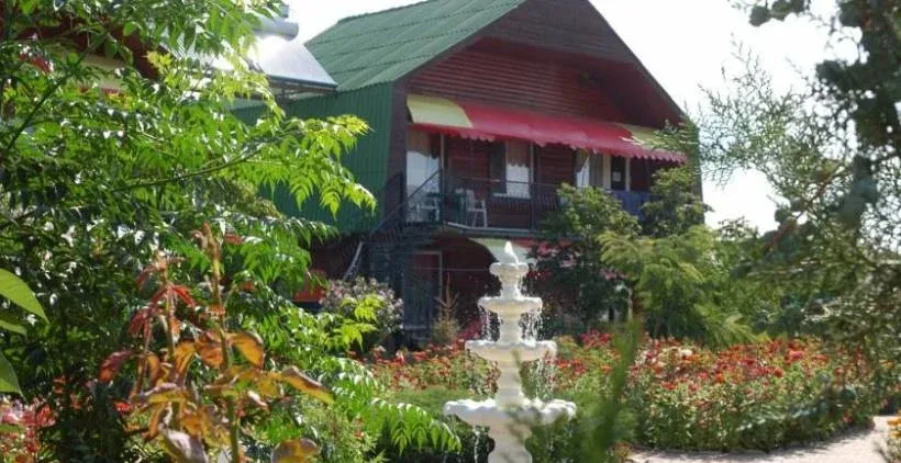 ПапаЯ — фото 2