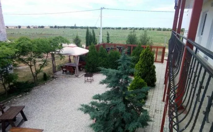 Лавандина — фото 5