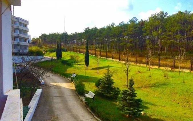Лазурь