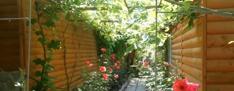 Солнечное