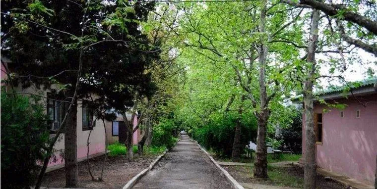 Волга — фото 5
