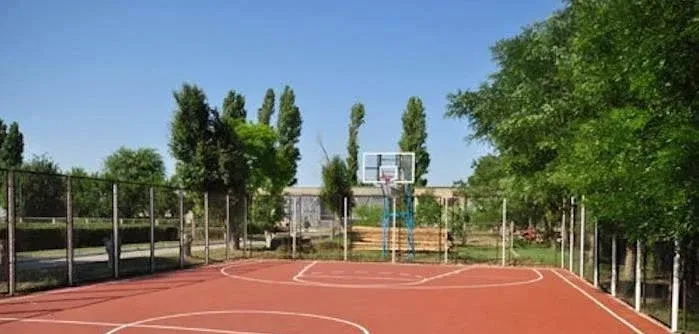Рябинка