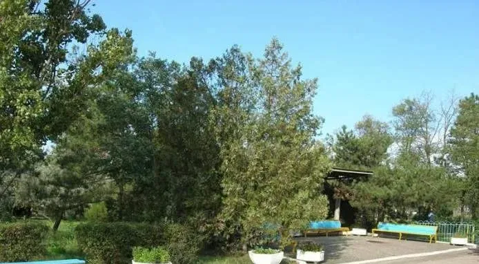Парус