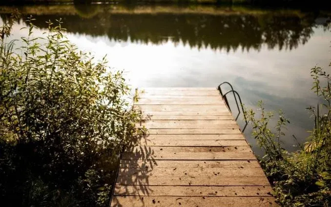 База отдыха «Карельская» — фото 3