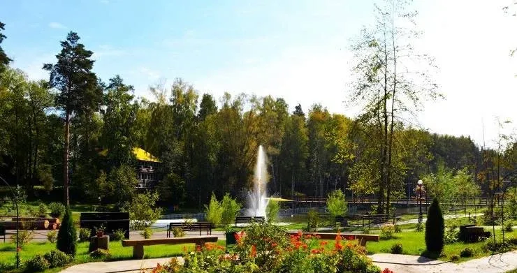 Нехама