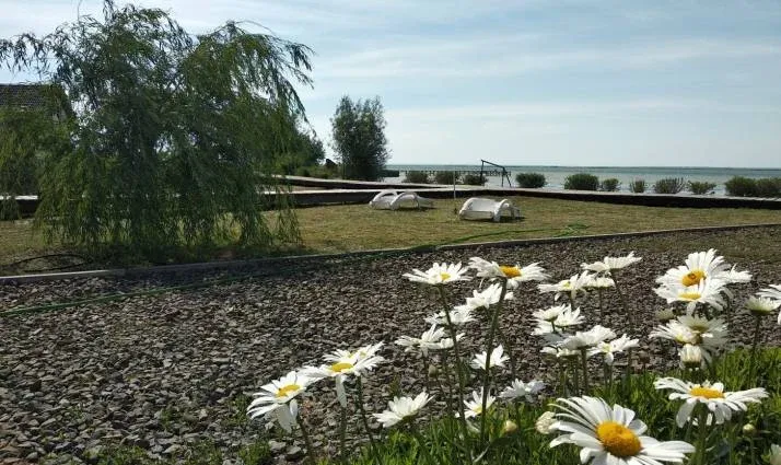 База отдыха «Пристань кочевника» — фото 4