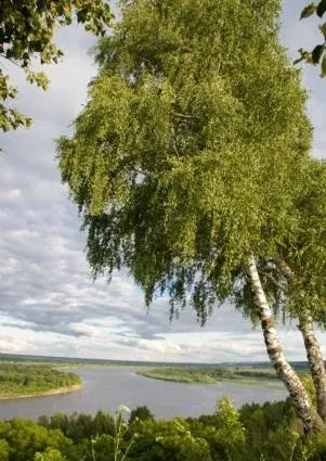 База отдыха «Мещерский городец» — фото 3