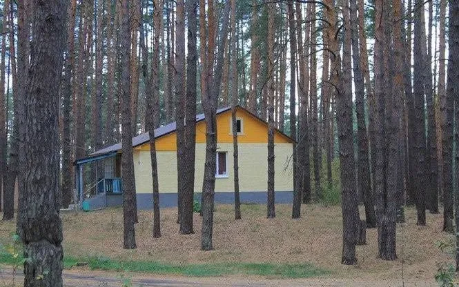 База отдыха «Мещеры» — фото 4