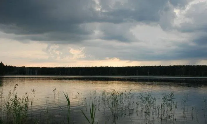 База отдыха «Прудки»
