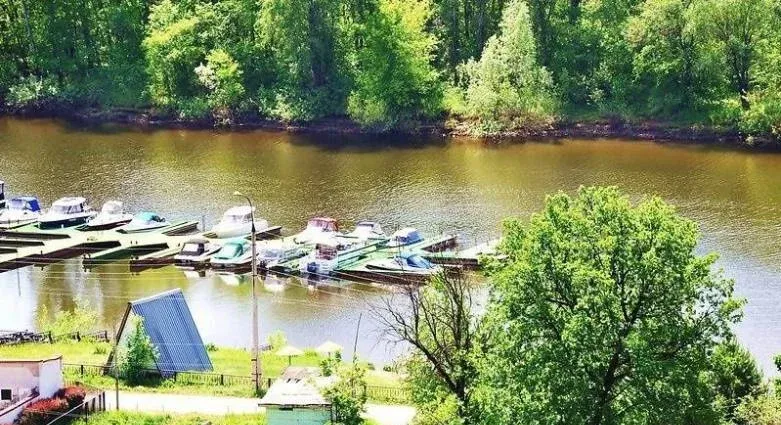 База отдыха «Верхний бор» — фото 2