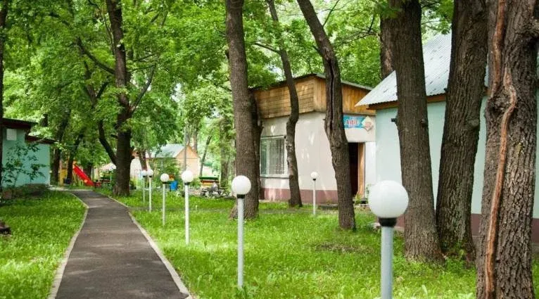 Волжанка — фото 2