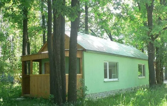 Волжанка — фото 4