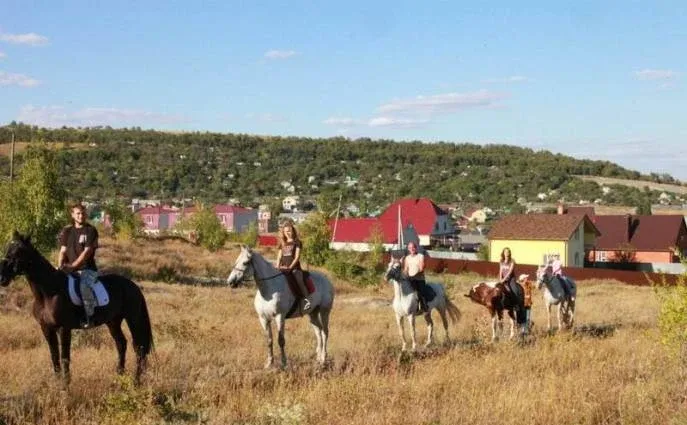 Золотая подкова