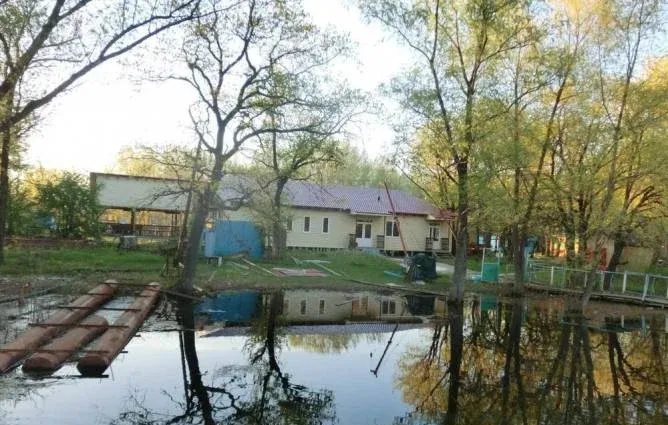 Дубовая Грива — фото 3